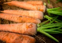 영양소 풍부한 8월 제철 농산물 2가지