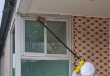 올들어 경기도 벌 쏘임 사망자 3명. 경기도소방 ‘경보’ 발령