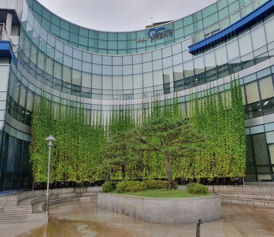 경기도, 올해 학교·도서관 등 87곳에 도심녹화사업 ‘그린커튼’ 조성완료