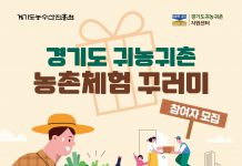 집에서 경기도 농촌 체험하고 귀농귀촌 궁금증도 해결하세요!