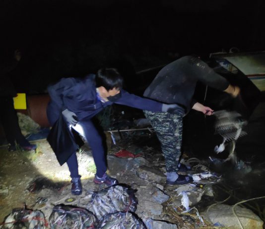 경기도, 시화호 등 불법어업 합동단속 44건 적발. 불법어구 201개 철거