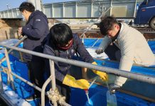 경기도, 내년 4월까지 김 양식장 대상 ‘무기산’ 불법 사용 합동 단속