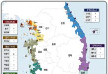 내년 ‘어촌뉴딜300’ 대상지 50곳 선정…300곳 지정 완료