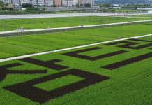 ‘참드림’ 밥맛 만족도 높게 나타나. 영양사 80% 이상 ‘학교급식 활용 의사 있어’