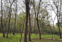 2050년까지 산림 부문에 탄소 흡수량 2360만톤 달성 추진