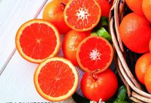 영양소 풍부한 1월 농산물 2가지