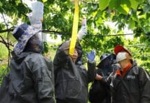 경기도 농기원, 과수화상병 발생 시기 앞두고 예방에 총력