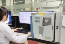 경기도, 방풍나물 등 봄나물 2건에서 잔류농약 초과 검출