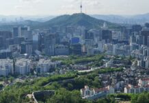 기후 위기 시대의 도시숲 역할을 세계산림총회에서 재조명