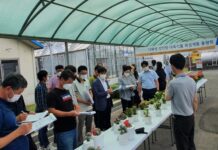 경기도 농기원, 1년 내내 꽃피는 꽃기린 신품종 ‘레드샤인’ 개발