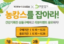 경기도 농수산진흥원, 23일까지 마켓경기 ‘건강식품 판촉전’. 과일청 등 80여 가지 판매