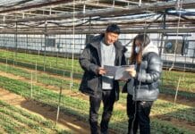 지난해 ‘스마트팜 현장지원센터 농가 컨설팅’, 참여 농가 80% 이상 ‘만족’