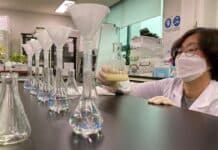 ‘자가 제조 해충 방제제’로 은행 주로 사용. 가장 큰 불만족 요인은 ‘낮은 효과’