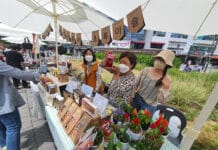 산림청, 예비사회적기업 공모…고용부 사업개발비 등 지원