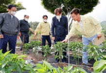 농식품부 “최근 비로 대부분 지역 가뭄상황 상당 수준 해소”