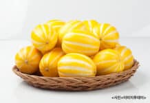 영양소 풍부한 7월 농산물 2가지