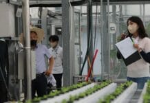 경기도 농기원, 원예 분야 ‘시험 연구사업 중간 진도관리 평가회’ 열어