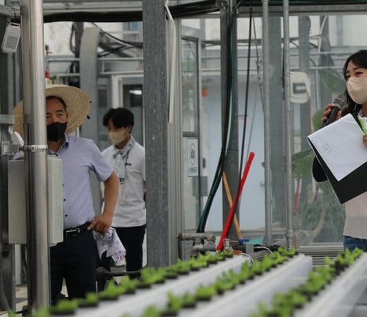 경기도 농기원, 원예 분야 ‘시험 연구사업 중간 진도관리 평가회’ 열어