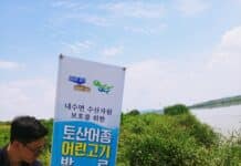 경기도 해양수산자원연구소, 토속 어종 쏘가리 치어 6천 마리 강, 하천 방류