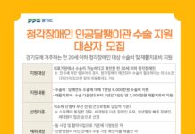 경기도, 청각장애인 인공달팽이관 수술‧재활 지원 대상자 모집. 수술비 최대 600만원 지원