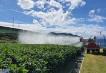 경기도 농기원, “콩 농가, 고온기 병·해충 방제 등 재배 관리에 유의해야”