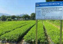 경기도 농기원, ‘봄 당근 품종 선발과 재배 기술’ 지침서 발간, 보급 추진