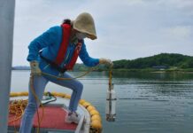 경기도 하천 78.2% ‘1~2등급’. 2012년 대비 18.5%p 향상