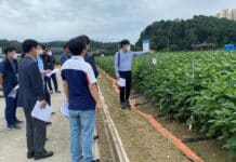 경기도 농기원, 콩 신품종 육성 등 ‘작목개발분야 중간진도관리 현장 평가회’ 실시