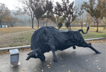 이촌·잠원·광나루한강공원에서 올해 마지막 조각전… 겨울 산책 어떠세요?