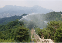 11월부터 가을철 산불방지체계 본격 가동