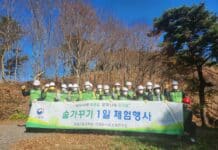 산림바이오소재연구소, 건강한 숲을 위한 숲가꾸기 체험행사 개최 – 11월, 숲가꾸기 기간 맞아 푸조나무 가지치기 체험 실시 –
