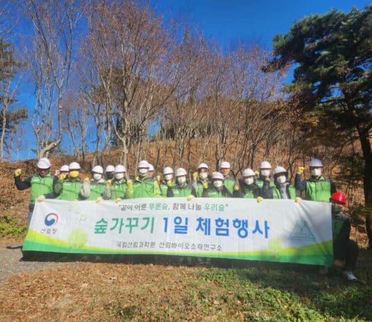 산림바이오소재연구소, 건강한 숲을 위한 숲가꾸기 체험행사 개최 – 11월, 숲가꾸기 기간 맞아 푸조나무 가지치기 체험 실시 –
