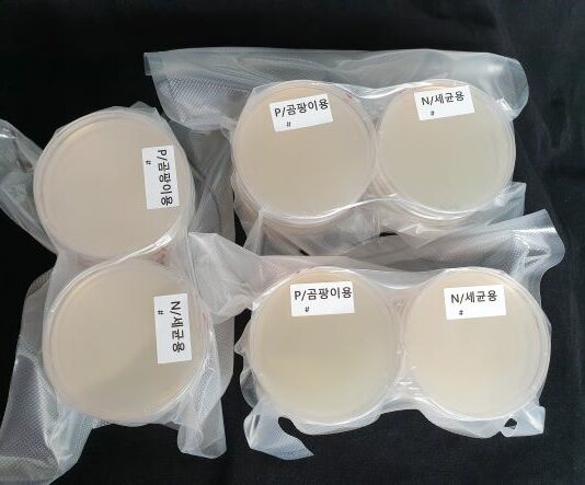 하반기 버섯 재배시설에 ‘오염진단 배지키트’ 무상 공급