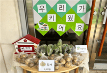 서울특별시 사회서비스원 지역사회와 따뜻한 연말·새해 맞이