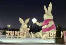 서울의 공원에서 민속놀이로 풍요로운 설 연휴 즐겨보세요