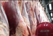 축산물 공급 늘어나는 설 앞두고, 도축·위생관리 강화