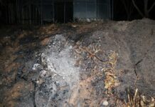 화재 집중 발생 1월, “불씨 방치 등 부주의 화재 각별히 주의하세요”