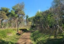 경기도, 올해 마을정원·도시숲 조성 등 정원분야 601억 원 투입