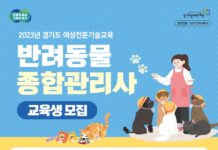 경기도, 여성 전문기술 교육 진행. 반려동물 종합관리사 등 160명 양성