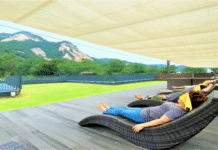 서울시, 숲에서 몸과 마음 치유하세요! 산림치유 프로그램 운영