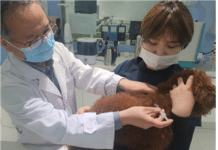 서울시, 강아지·고양이 ‘광견병 예방접종’ 하세요