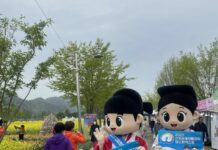 산청엑스포조직위원회, 봄꽃 축제 현장 찾아가