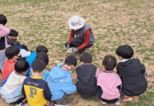인천수목원에서 즐기는 자연 속 힐링 체험
