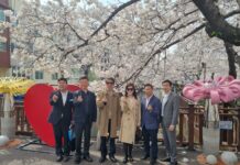 주한국 대만 총영사도, 창원특례시 진해군항제 벚꽃 만끽