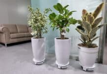 ‘꽃향기 가득한 노인복지관’…경기도, 도내 노인복지관에 매주 화훼 공급