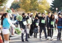 5월 20일, ‘더 큰 평화’를 여는 디엠지 오픈 페스티벌(DMZ OPEN Festival) 막 올려