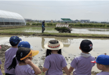 서울시, 자연 즐기며 농업 체험…유치원·초중학생 600명 모집