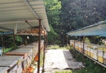 경남 양봉농가, 꿀벌사육 회복세!