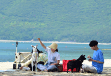 뜨거운 여름, 이번 여름휴가는 경남에서