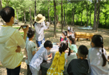 여름방학은 서울의 공원에서 자연속 모험과 체험을 즐겨보세요